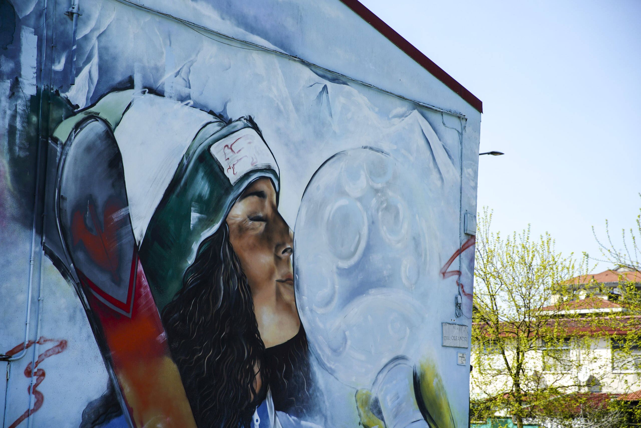 6 - Giambellino_V. GIGLI - V. ORTENSIE - V