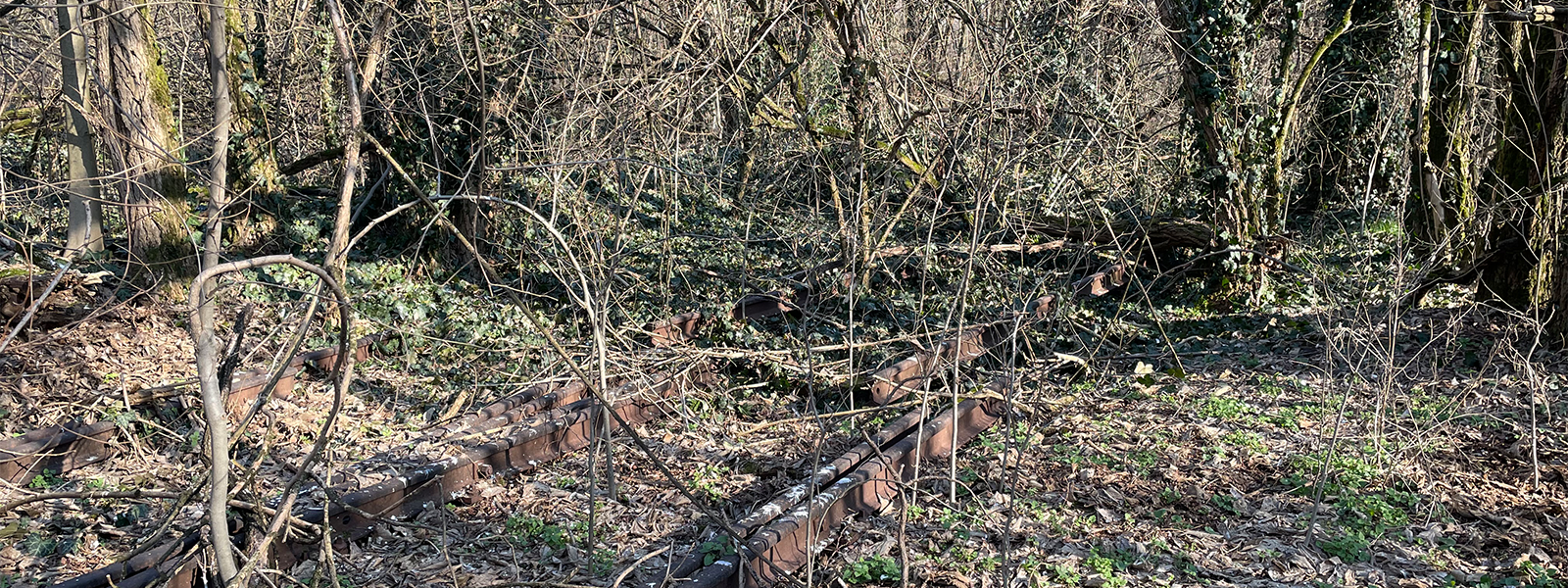 23 - bonifiche ambientali