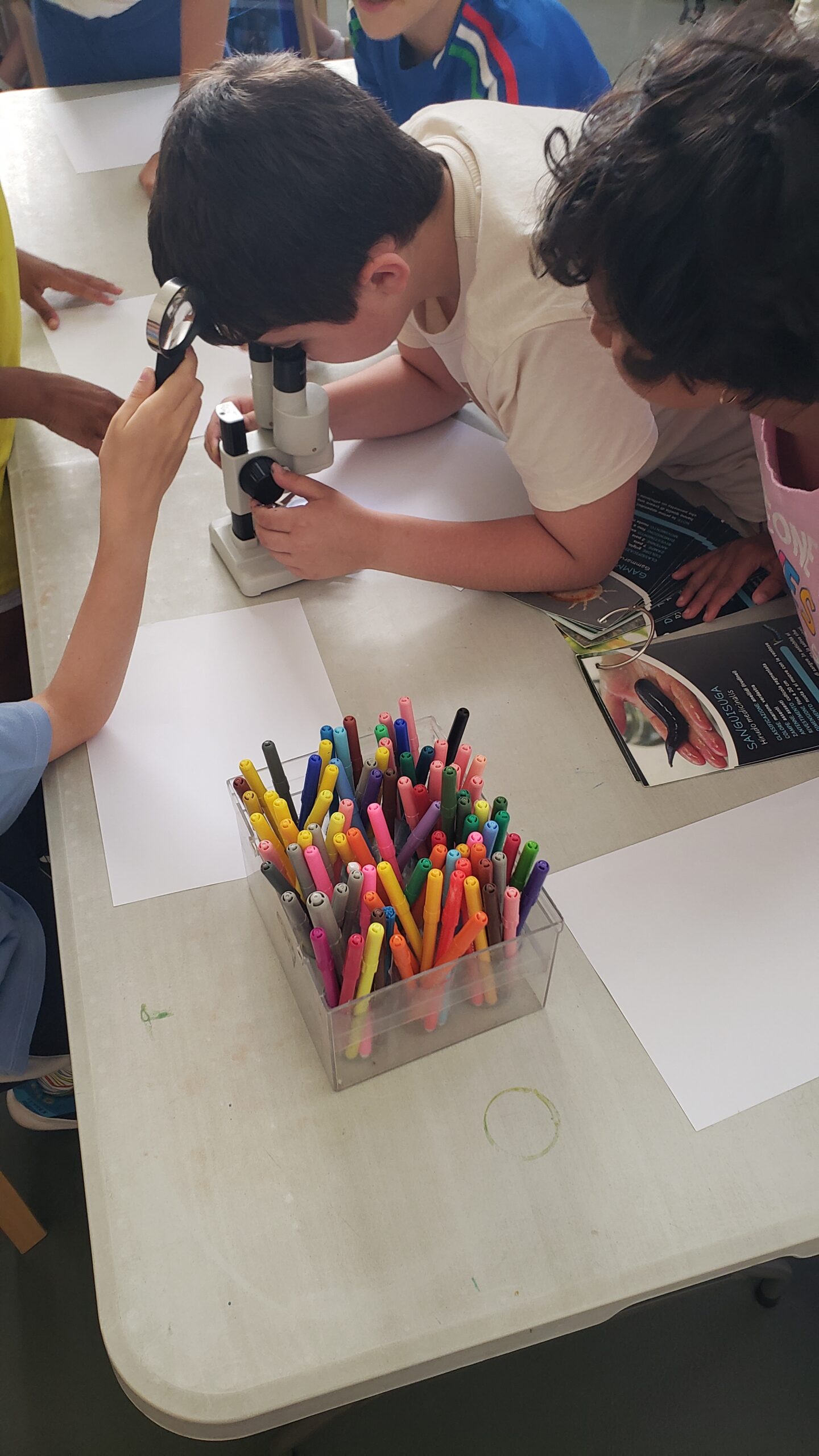 Laboratorio scientifico 3