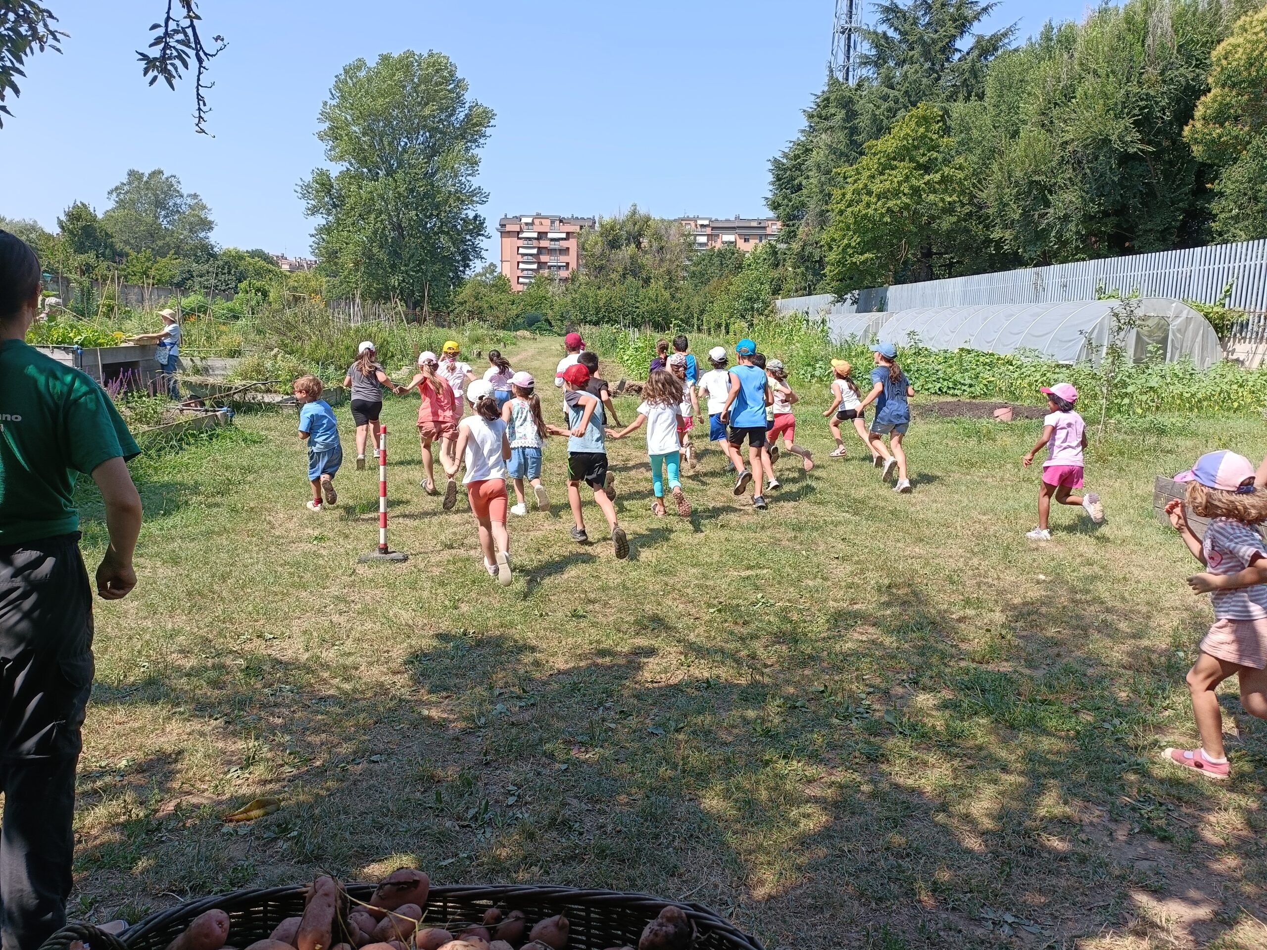 corsa nell'orto